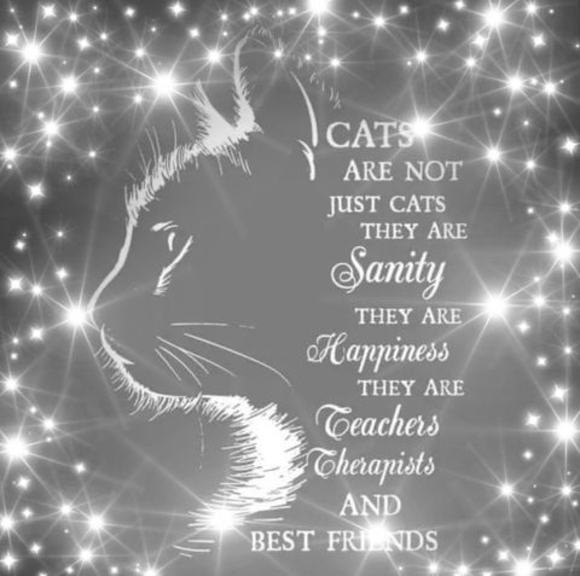 Meet your Posher, Mig - Picture 1 of 1